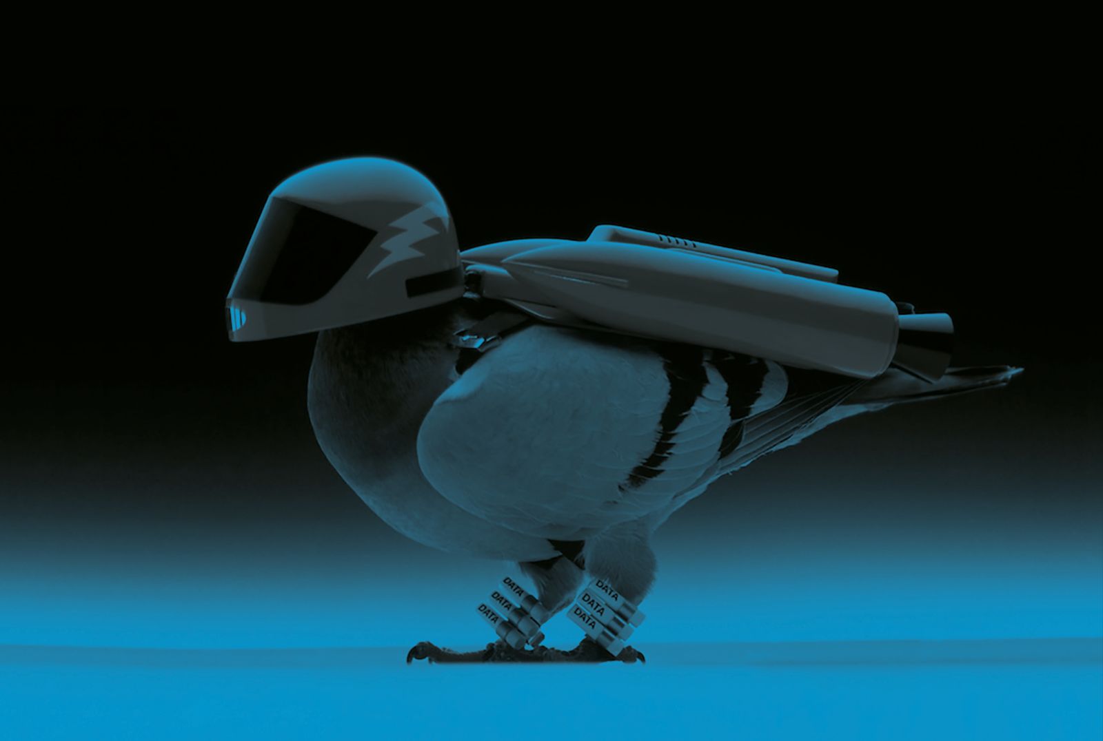 Format Transform 014